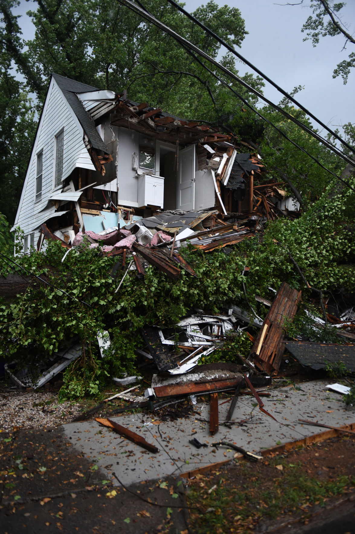 Tree falls on Queen Street house